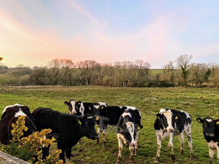 Sunken Terrace Fiberglass Jacuzzi, Ryan, Launceston, United Kingdom (1)