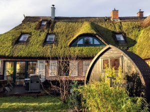 Garden Sauna Igloo (3)